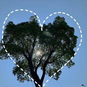 开腿爆❌乳液狂飙原神
